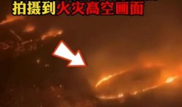军情六处爆料视频在线观看,独家爆料视频带你直击神秘情报世界